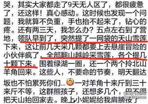 爆料雪莲的视频大全集,揭秘神秘雪莲的神奇魅力 第2张 爆料雪莲的视频大全集,揭秘神秘雪莲的神奇魅力 第2张